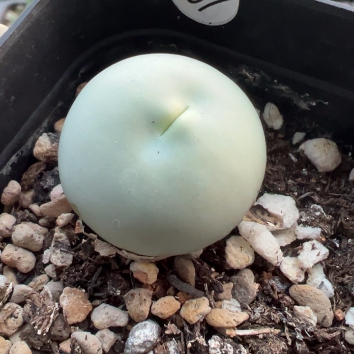 457号111111111111111