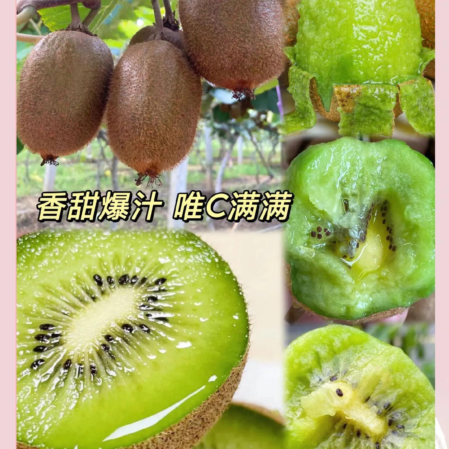 即食翠香猕猴桃2盒陕西省