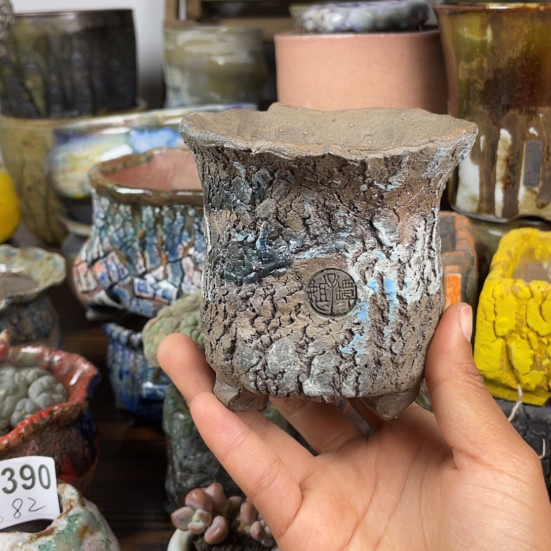 默认微次 元旦福利 坛子姐花盆