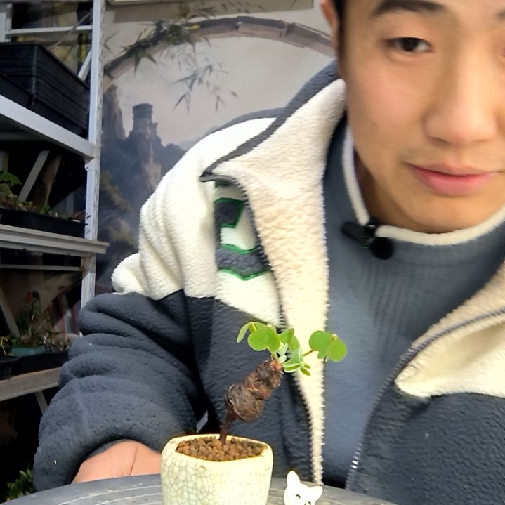 S***y中青园艺一物一拍花260