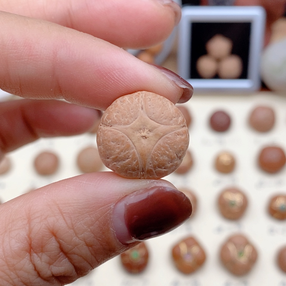 龙眼菩提吊坠麒麟