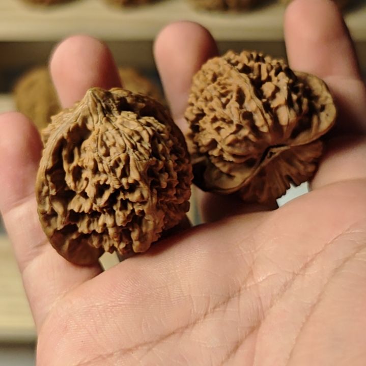 ，*嘎嘎好实惠满天星核桃