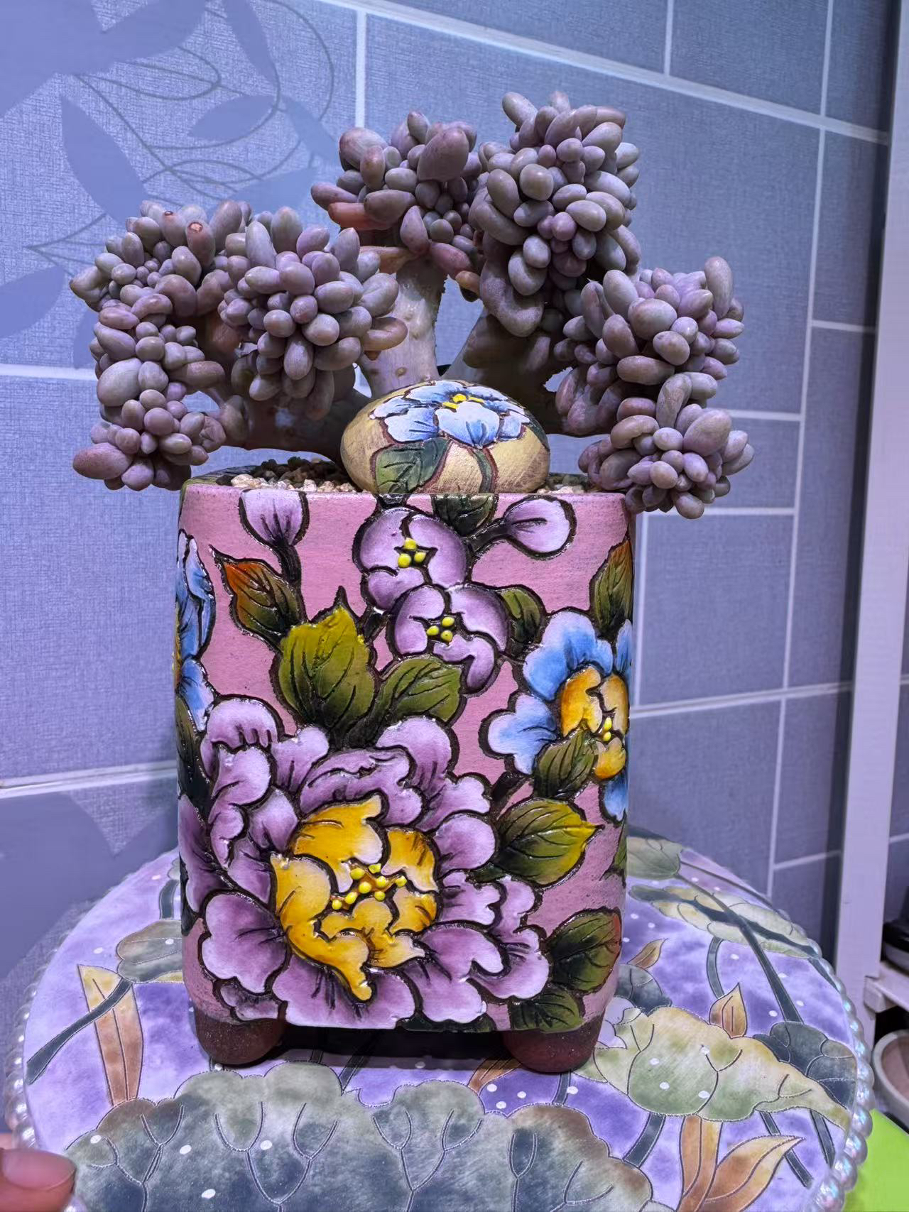 景德镇手绘花盆，直播间一物一拍请勿乱拍