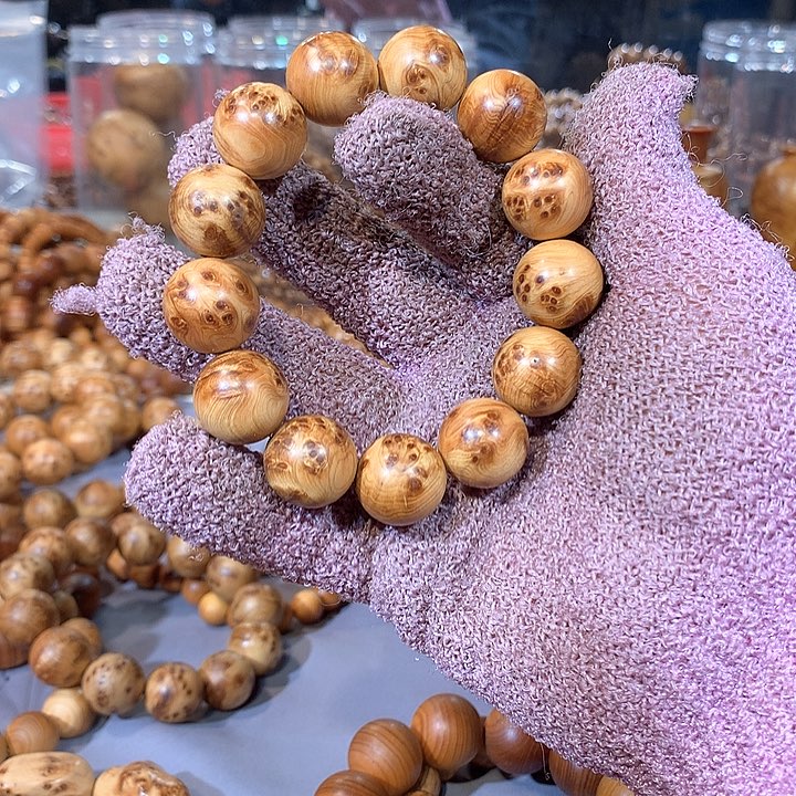 柏木（崖柏）太行之子于元庆之