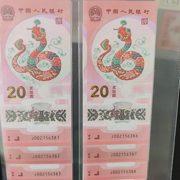 蛇年纪念钞J001256381十连号