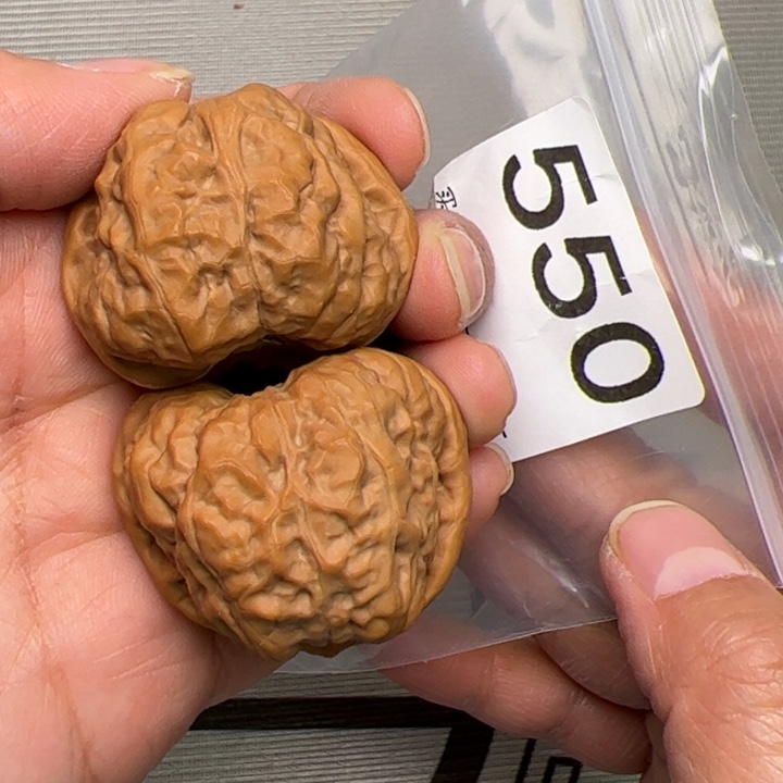 核桃三角蛙饼550号40边41肚