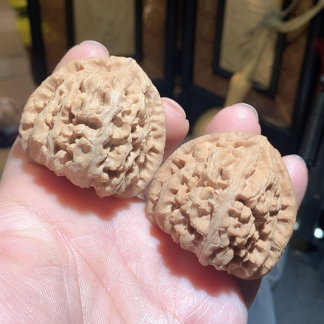 文玩核桃把件45三角白全品