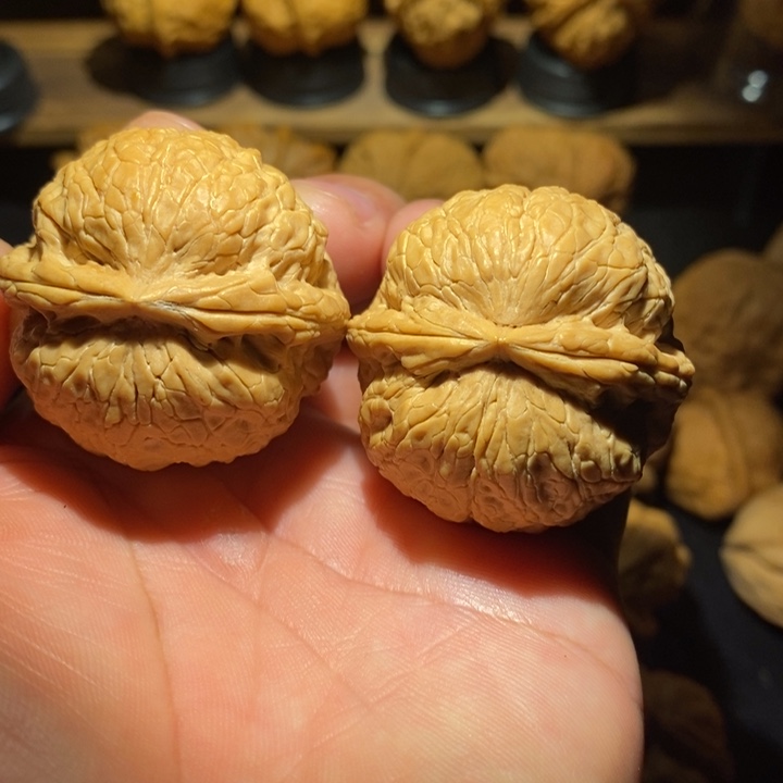 吊坠桃核古蟾鹦鹉尺寸38