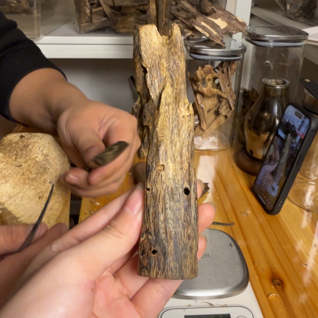 沉香白奇虫漏香18克