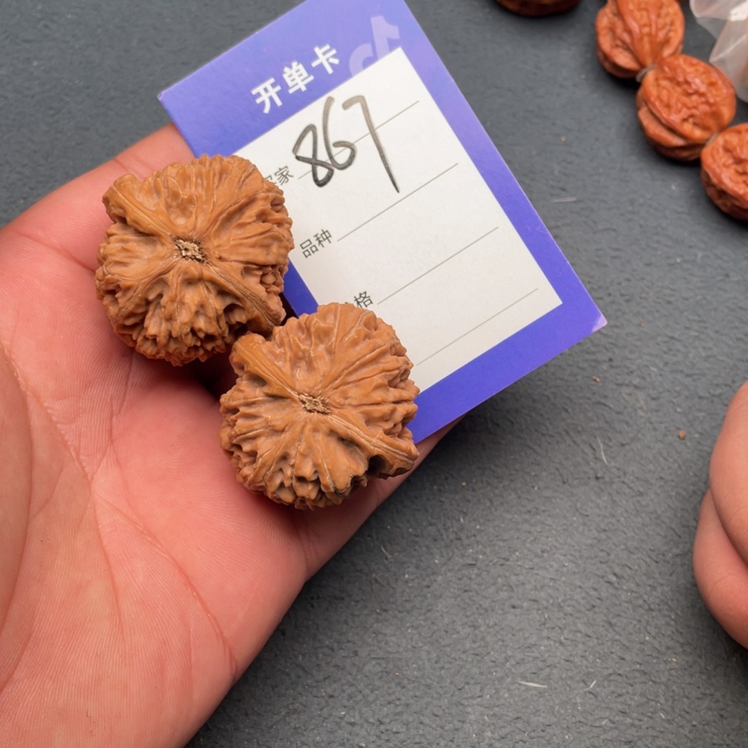 核桃把件41水龙纹，867号