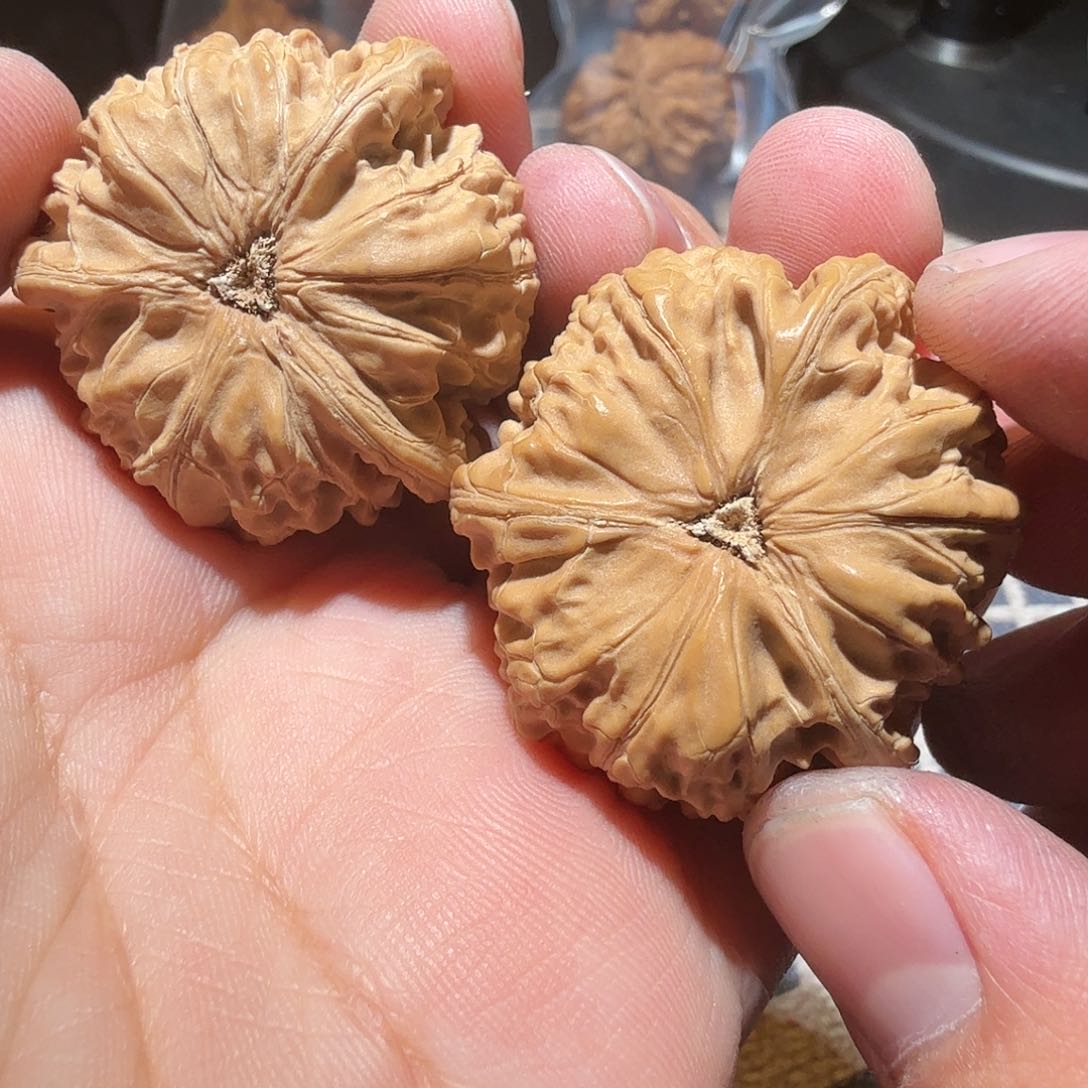 文玩核桃把件Z*兴御龙