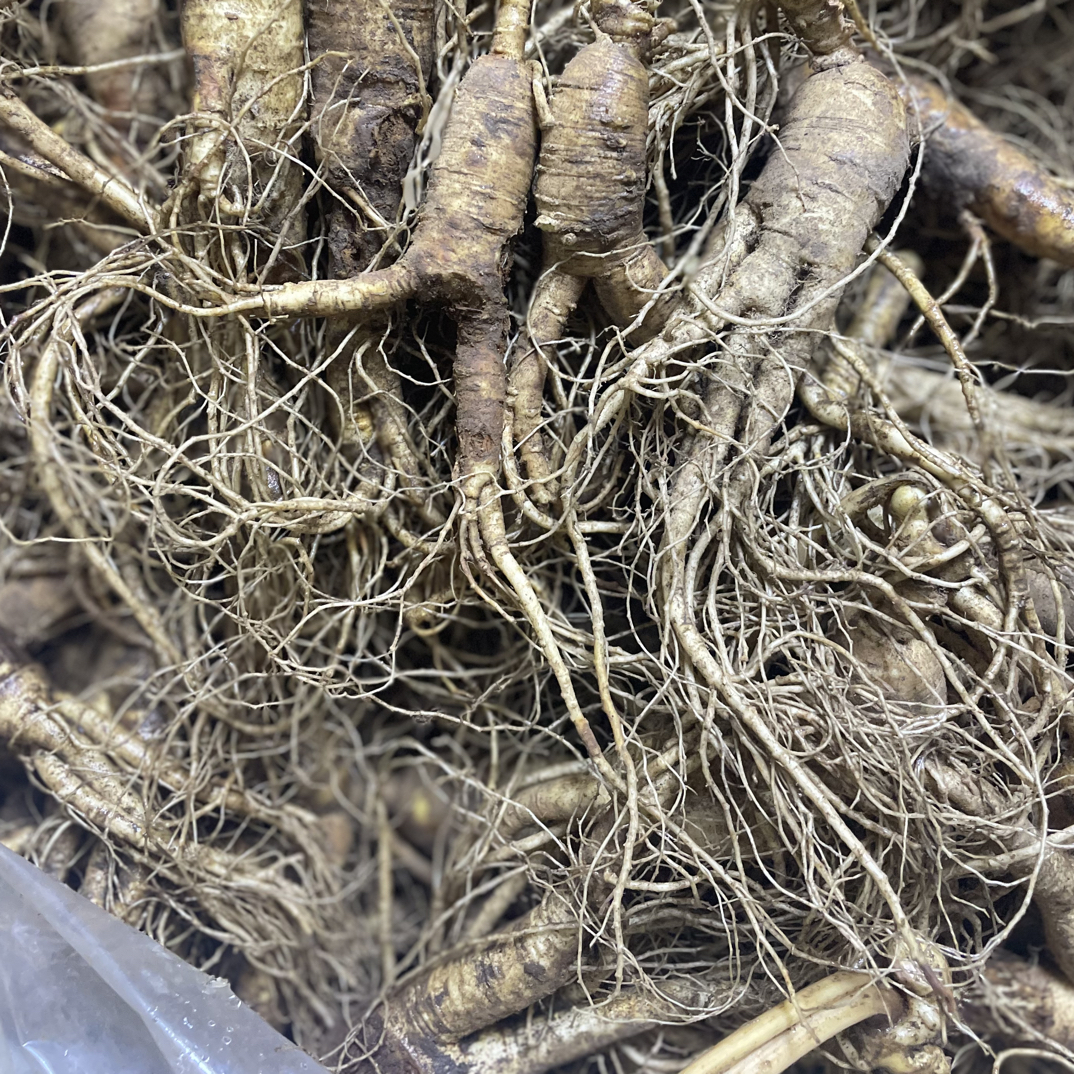 长白山鲜参经济实惠装（带残介意勿拍以直播间为准）