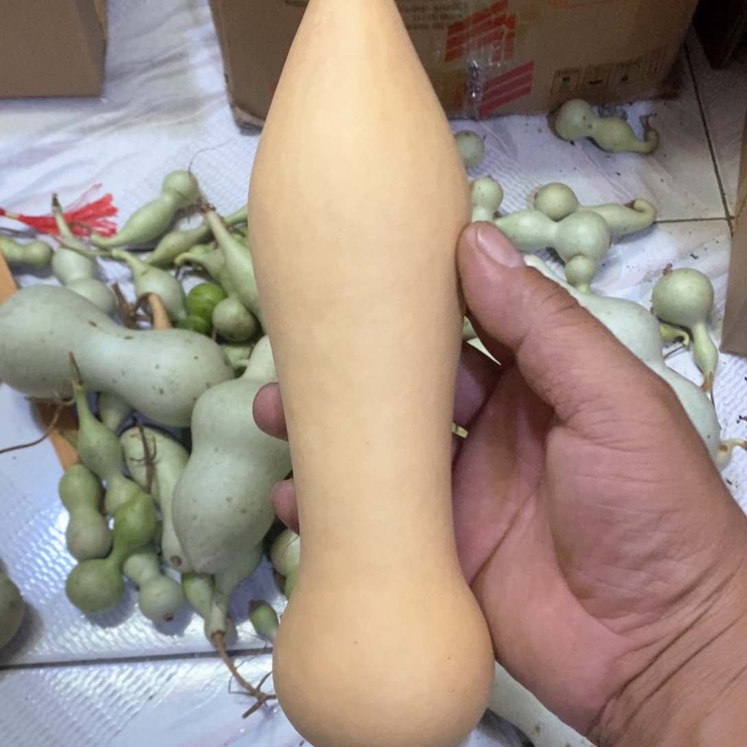 文玩葫芦天然葫芦