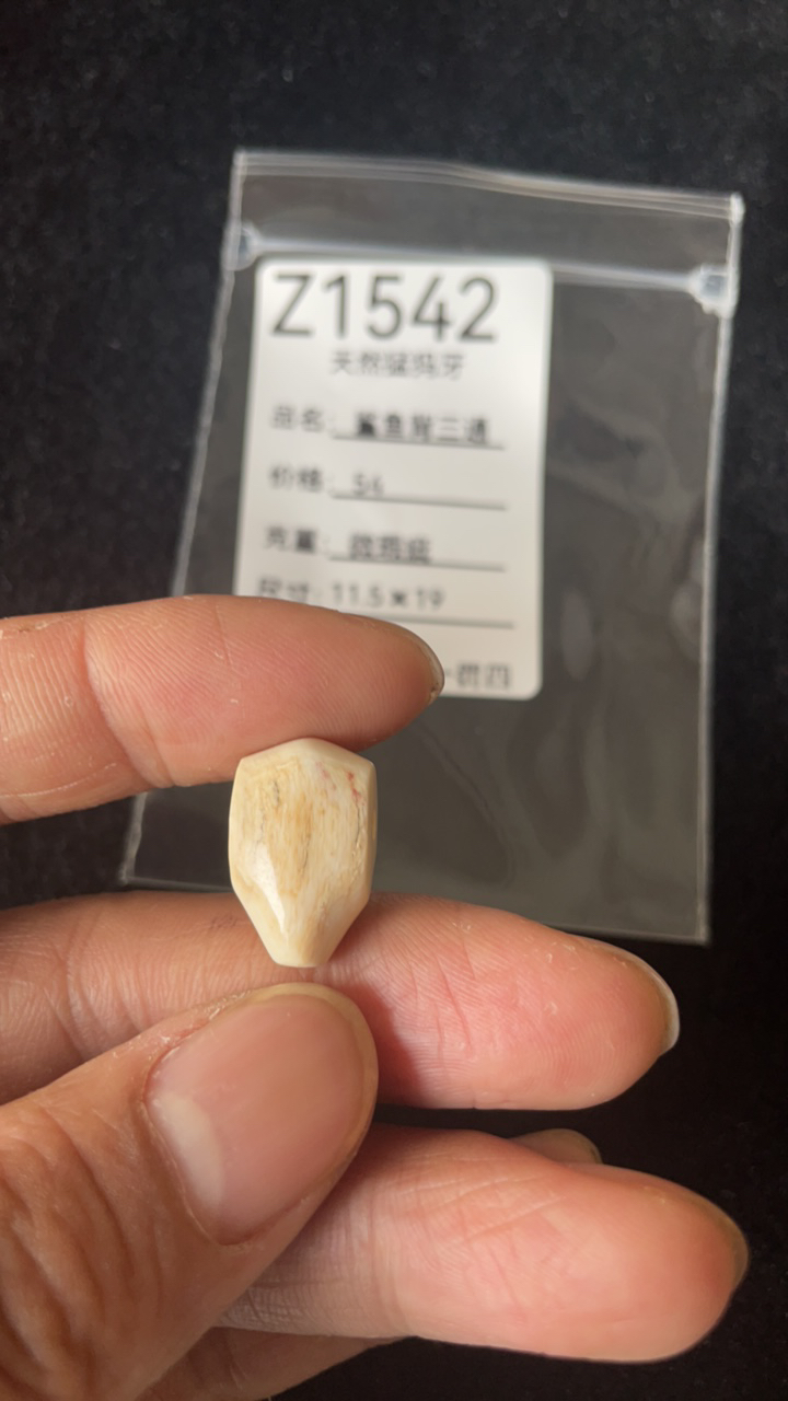 Z1542天然猛犸牙鲨鱼背配饰三通皮裂微瑕疵