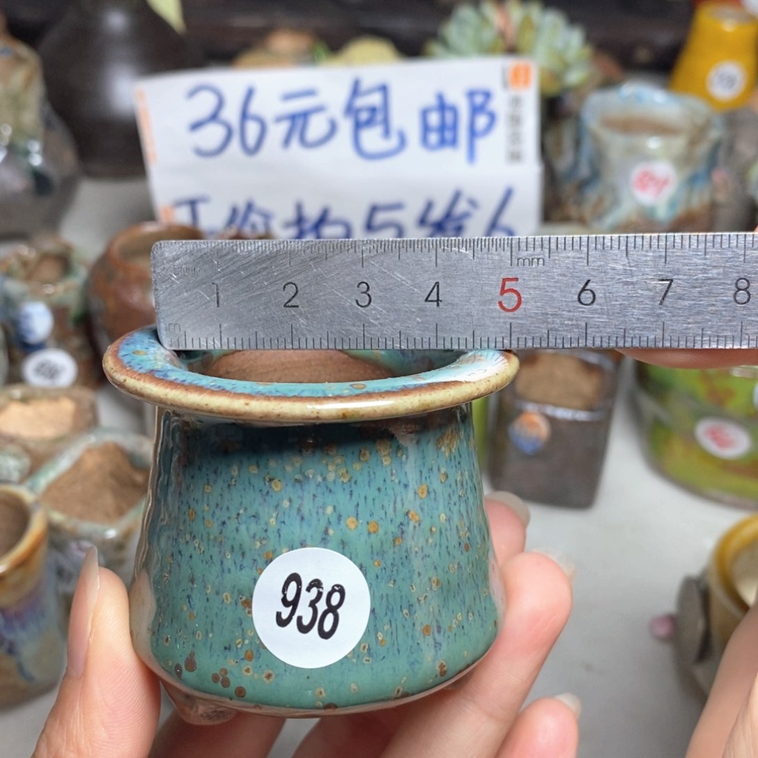 拍5送一个小礼物