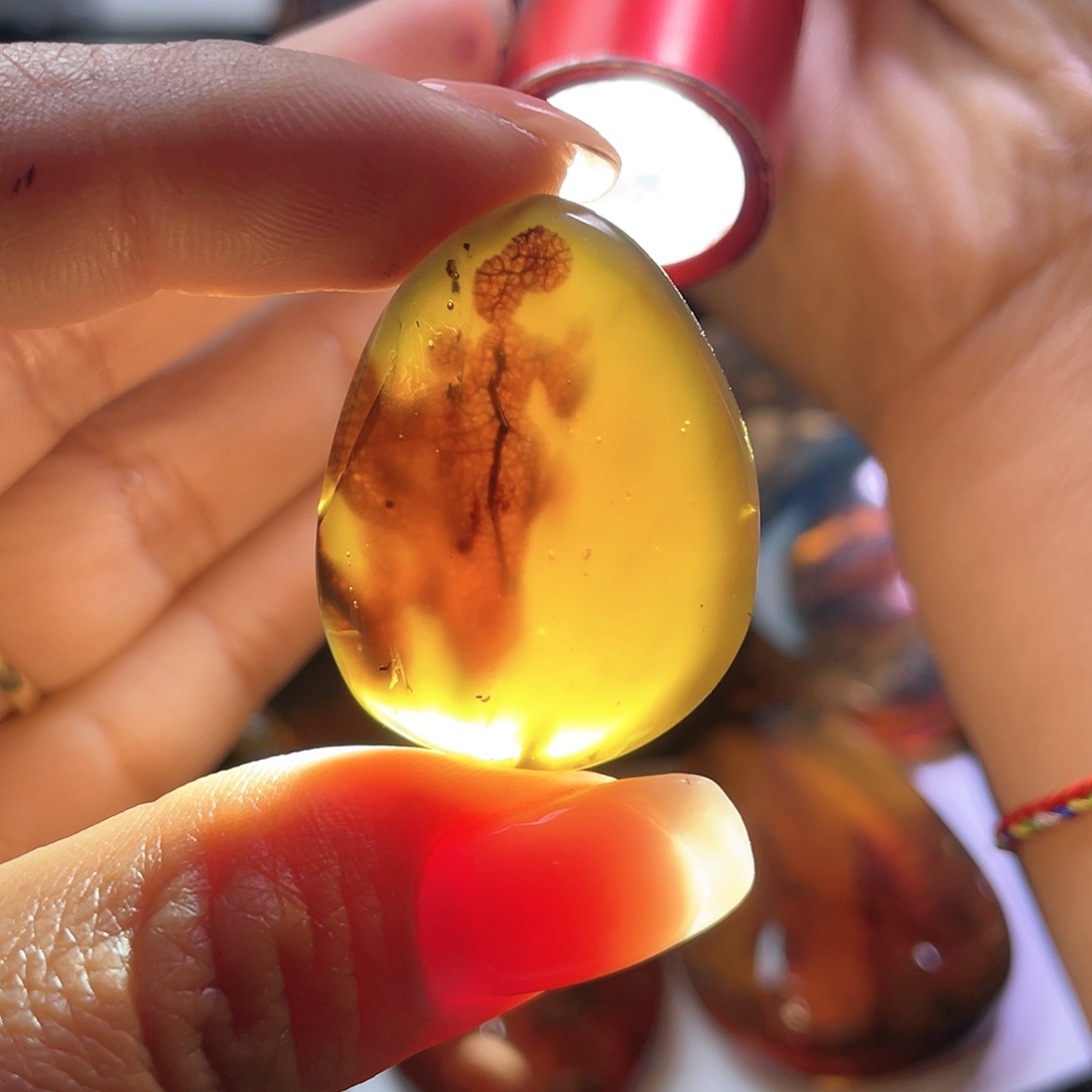 琥珀裸石未镶嵌？