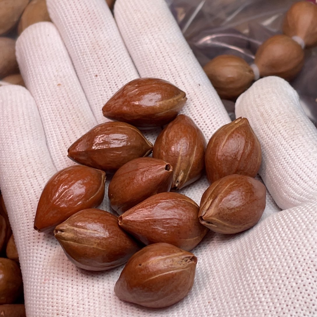 若***7橄榄核手串/手链1