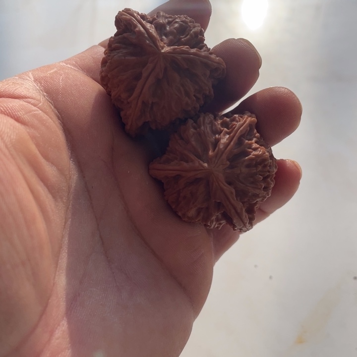 快****文玩核桃吊坠三棱