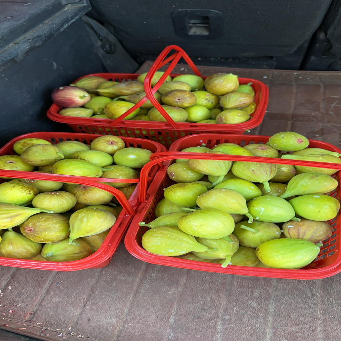 自然烘干果饼巴劳奈无花果