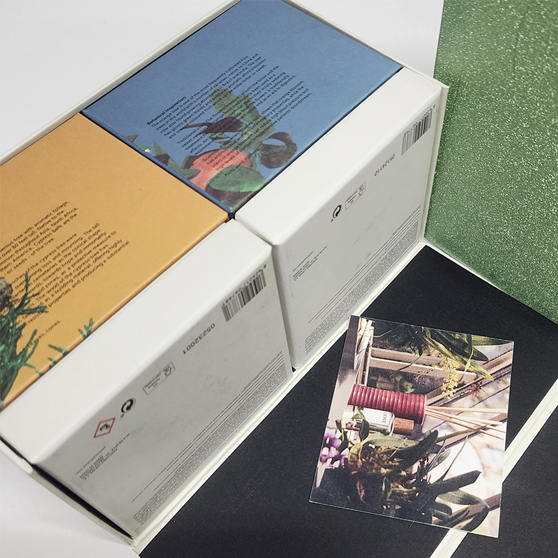 【1盒2只】摩瑟DP【LOE柏树球/橙花-香薰蜡烛】HAZC花瓶摆件玻璃陶