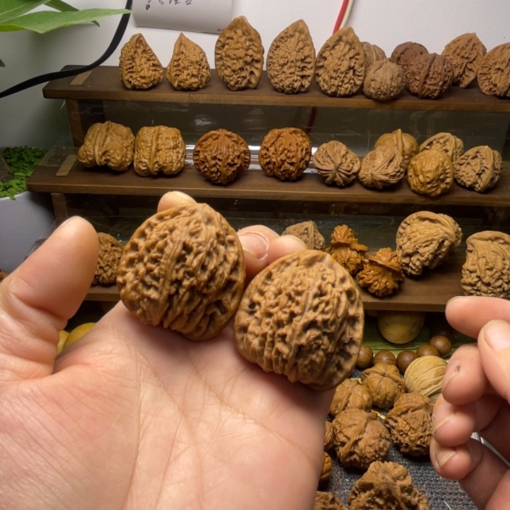 南疆全品37.36.37