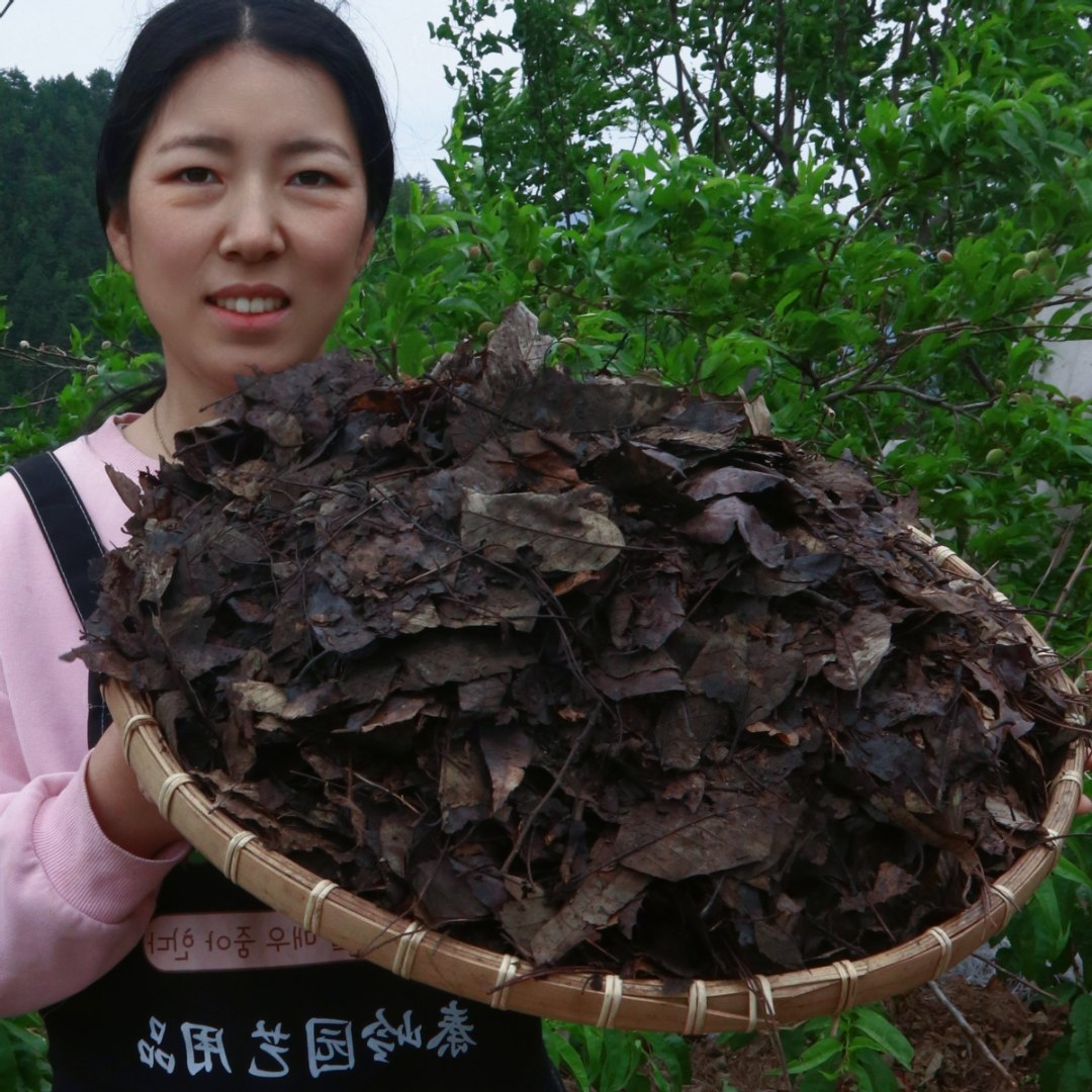 秦岭像树叶腐叶土腐殖土花卉有机弱酸性营养土适合月季营养土