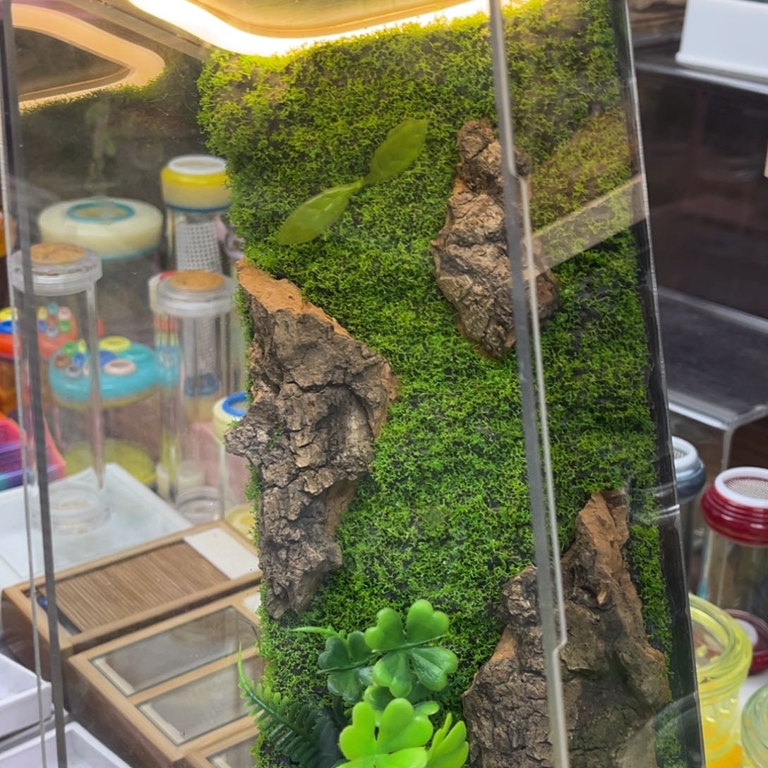 实木生态箱哈哈哈哈