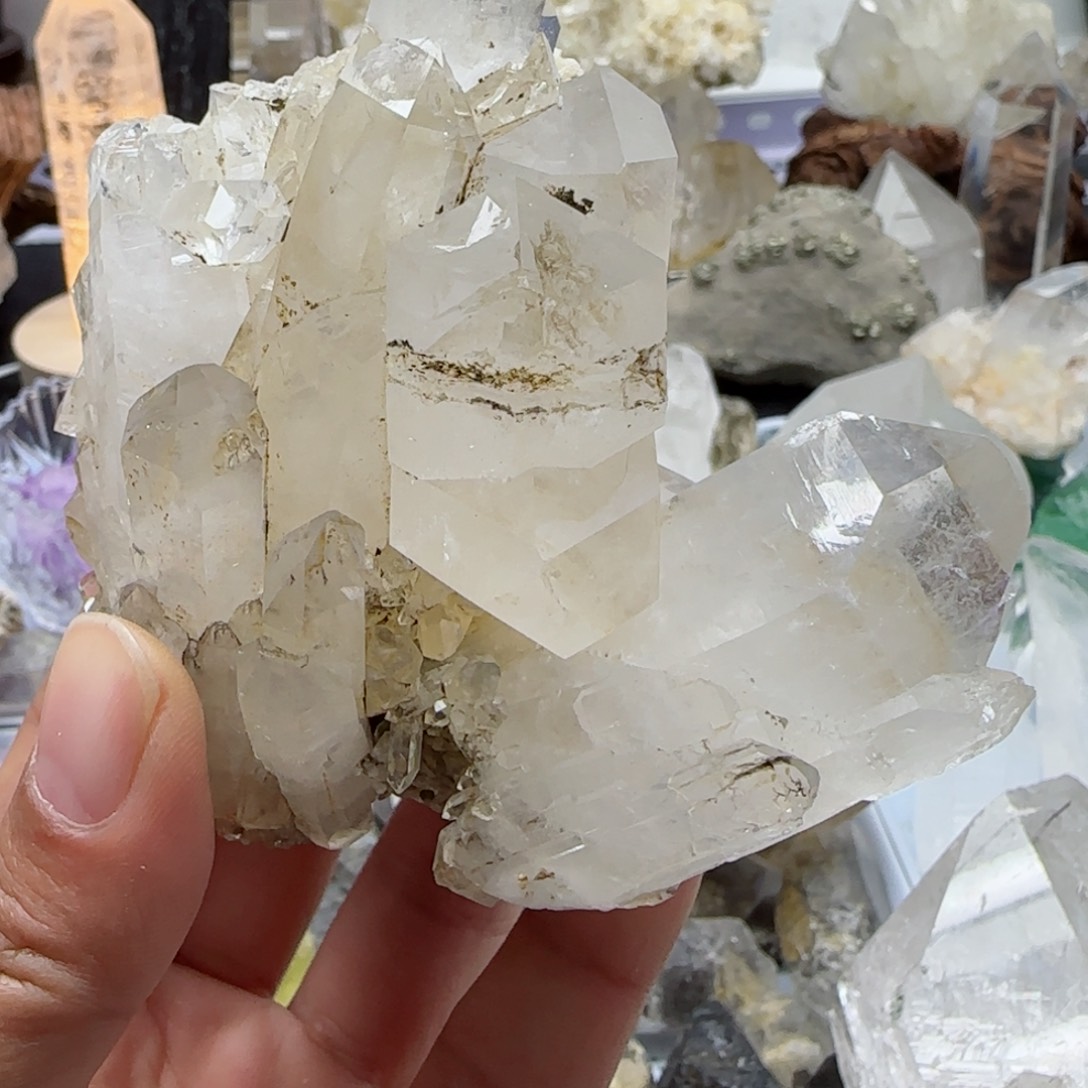 【闪购商品】未镶嵌查罗石珠宝半成品