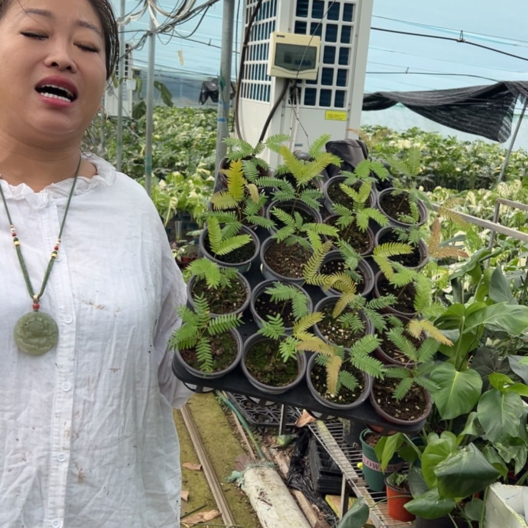 完全开放猴子随机发货不售后