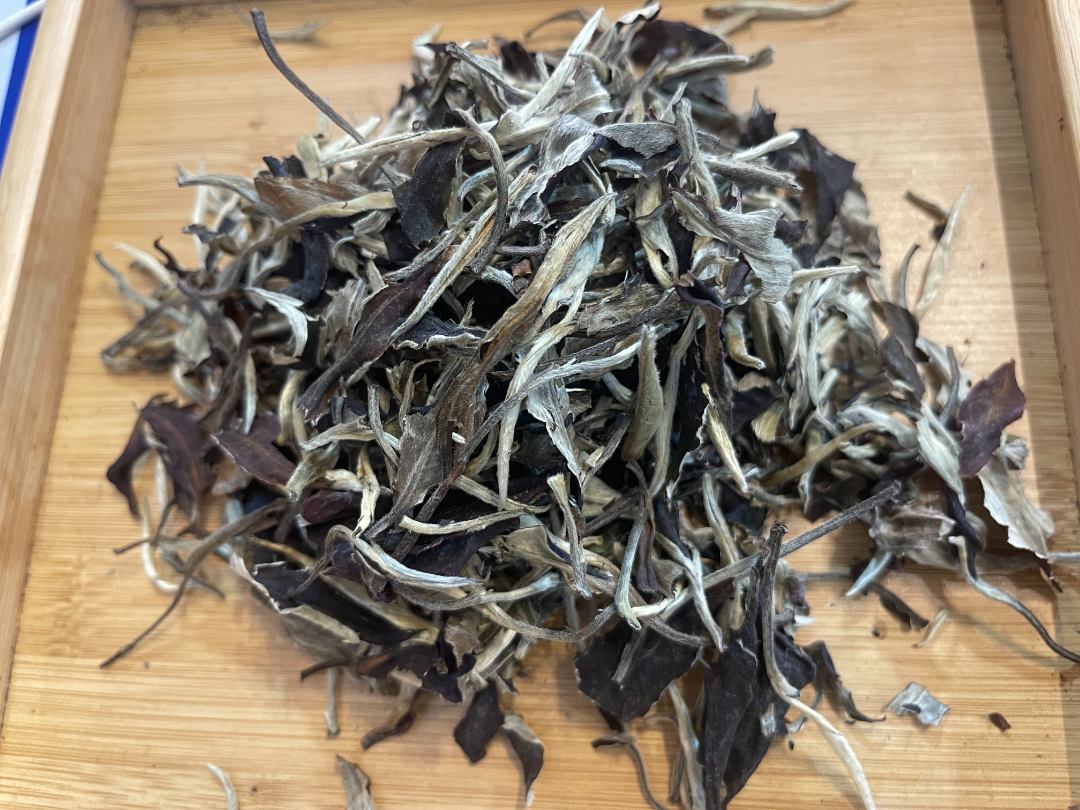 茶农112号 2025年春 月光白茶 散白茶 7/5