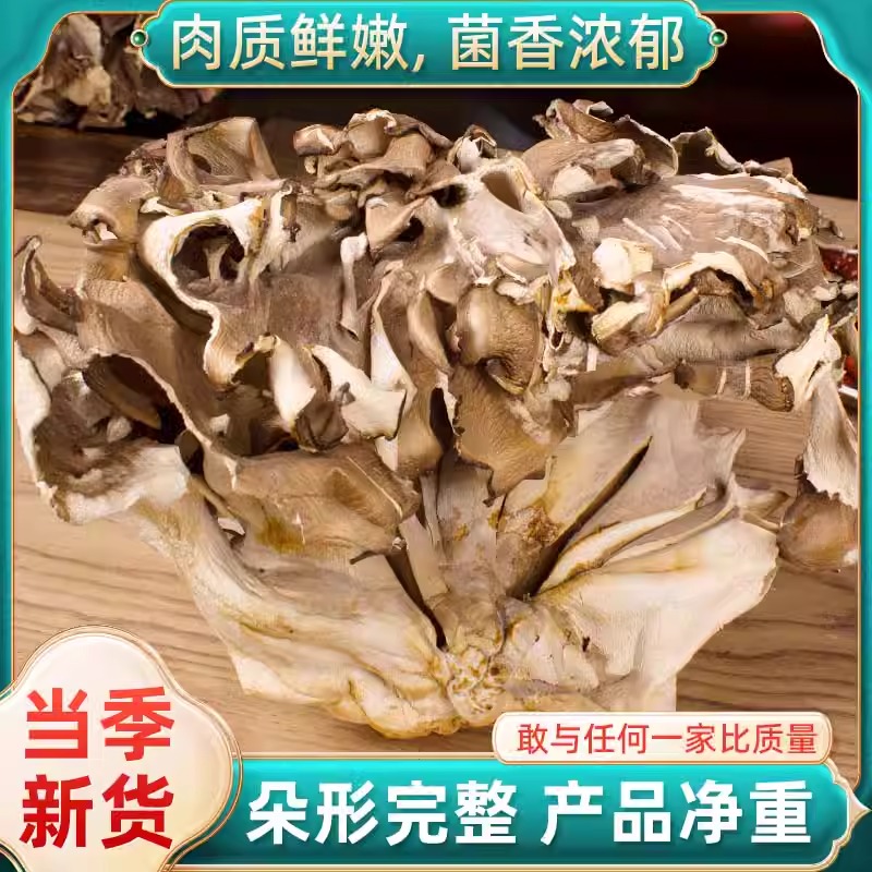 灰树花干货舞茸菌子自然烘干无硫煲汤蘑菇鸡汤炒菜食用菌