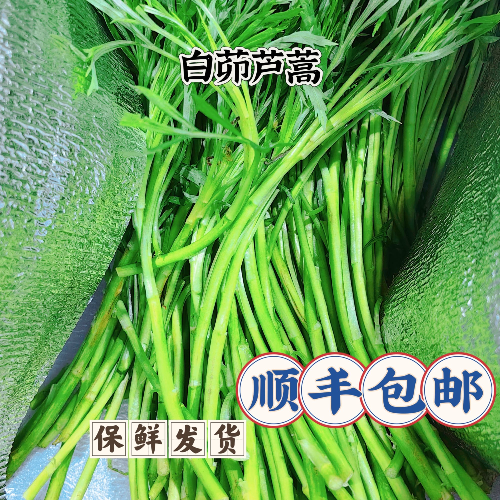 【芦蒿】顺丰包邮芜湖应季蔬菜农户现采新鲜芦蒿藜蒿可炒腊肉炒干子