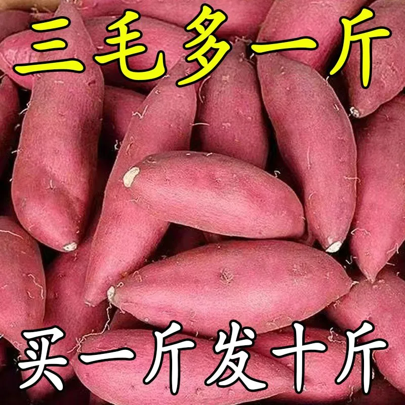 【抢购中】超甜沙地红薯1-9斤新鲜红黄蜜薯板栗薯地瓜番薯蔬菜水果