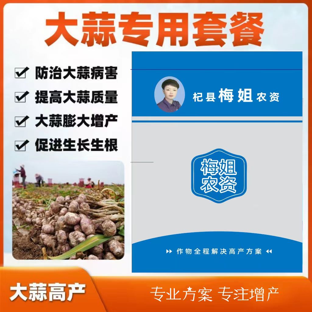 大蒜三遍方案防病治病膨大防早衰增产方案