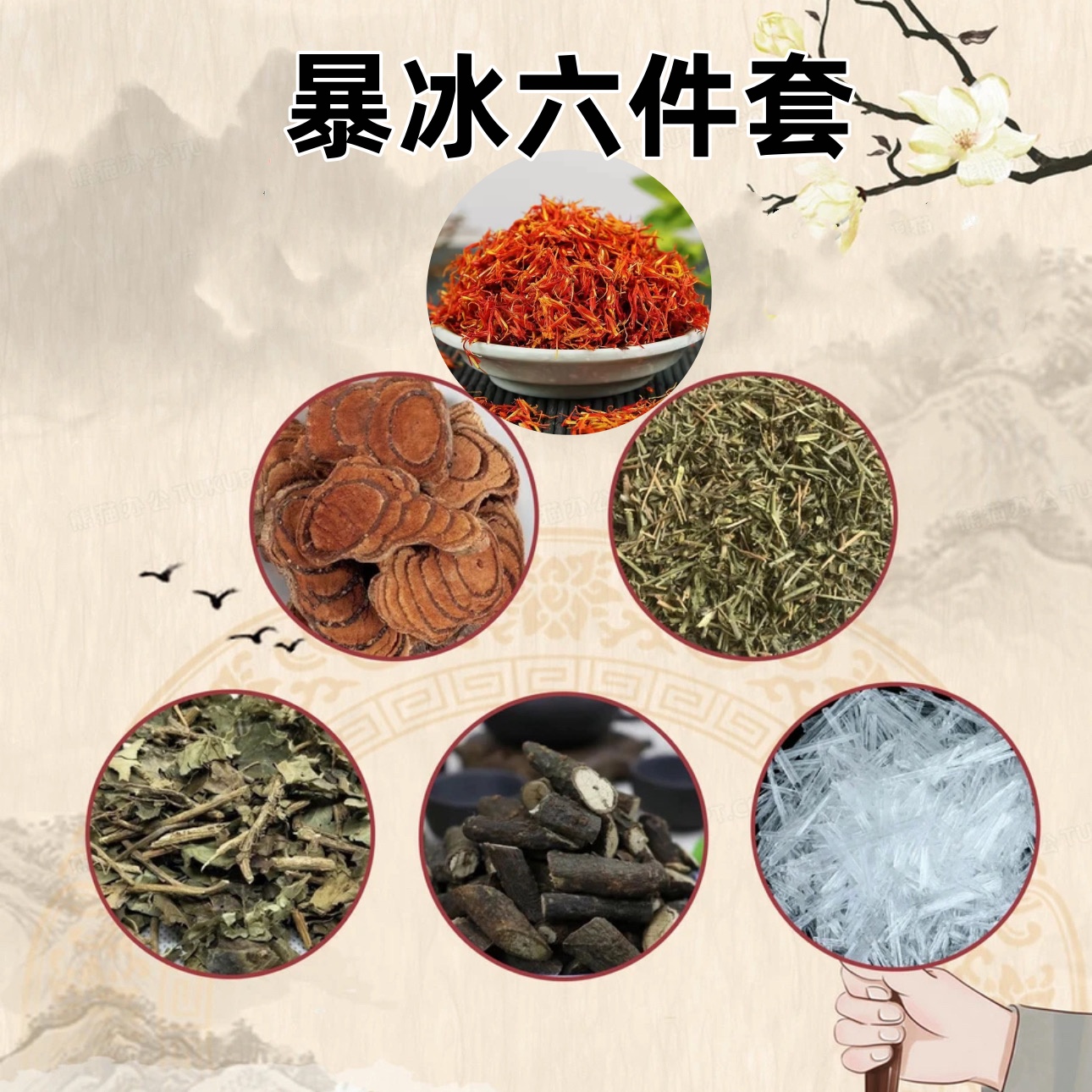 【升级暴冰六件套】红花鸡血藤黑骨藤透骨草三角枫暴冰泡白酒外用