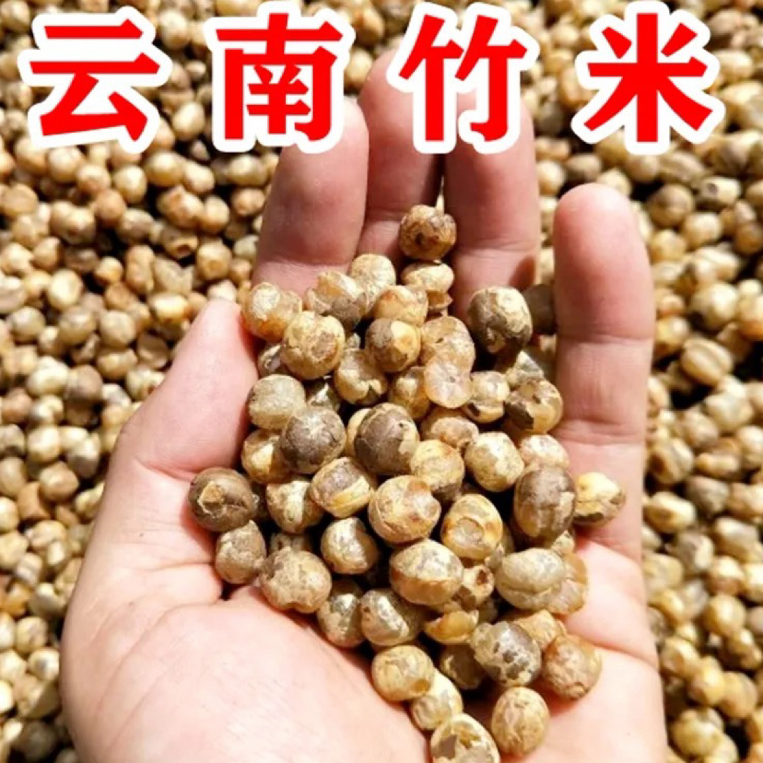 豪猪箐：云南腾冲猴桥（边境）黑泥塘真野生竹米48年成熟一次