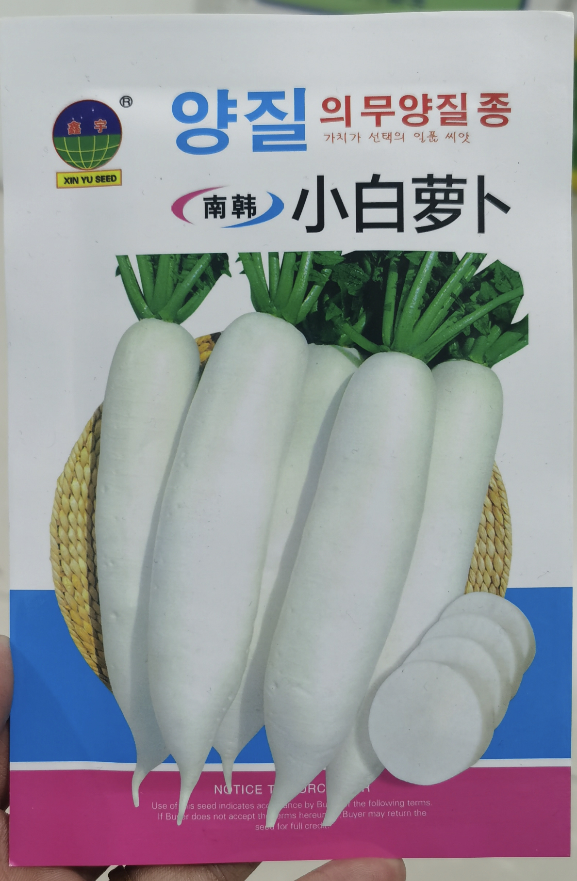 南韩小白萝卜种子