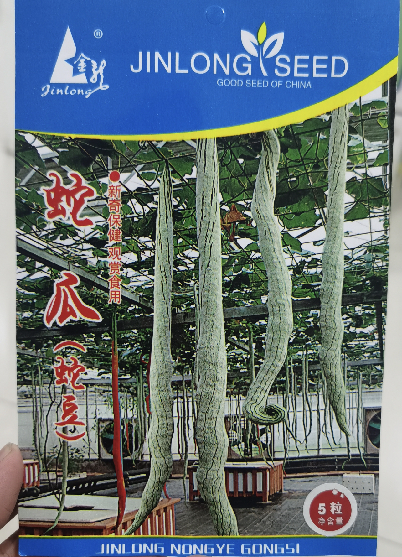 蛇瓜（又名蛇豆）种子