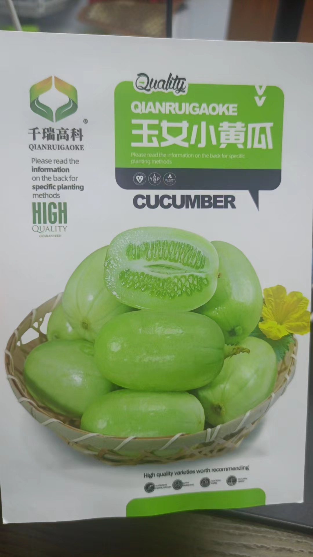 玉女水果黄瓜种子菜籽蔬菜