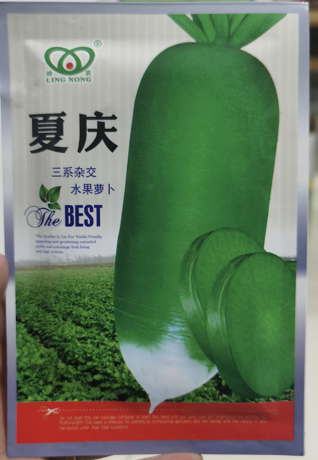 夏庆水果萝卜种子