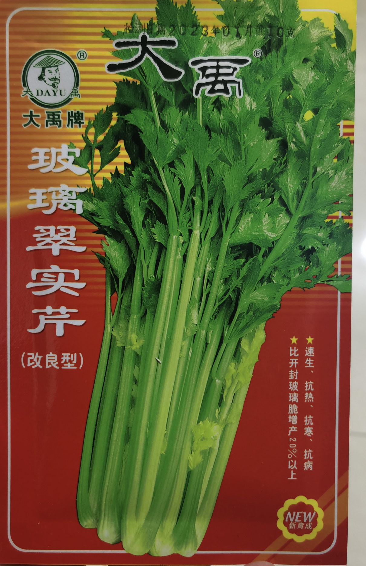 玻璃翠实芹芹菜籽西芹菜蔬菜种子西芹小芹菜