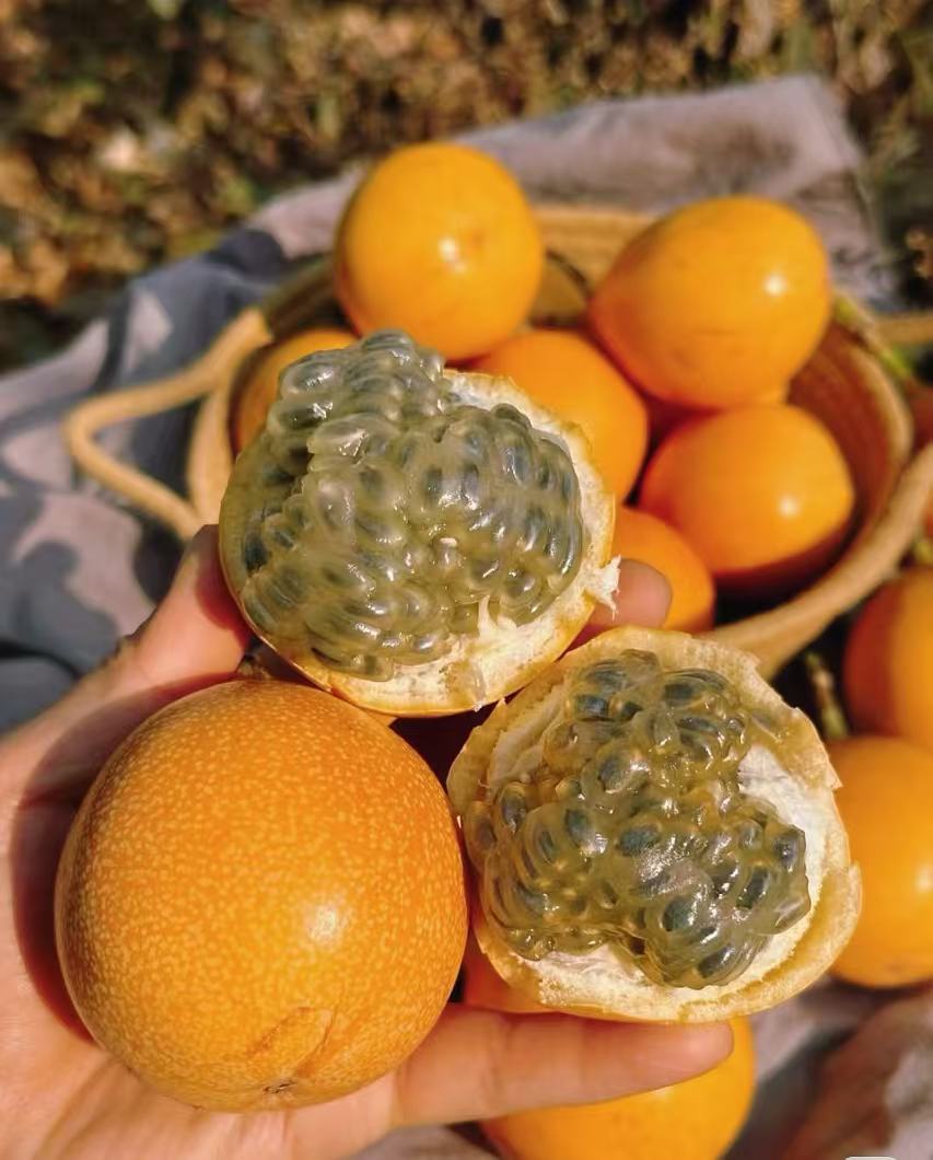 【版纳特产】热情果 纯甜无酸