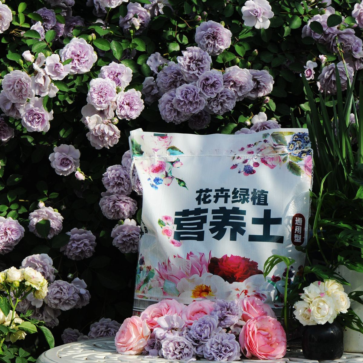 花卉绿植通用营养土营养土养花专用泥炭土