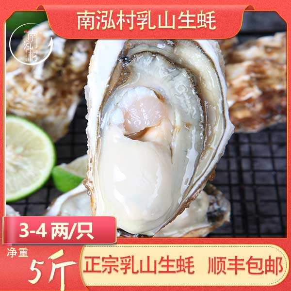 xmm.jr专属【净重5斤】南泓村乳山生蚝 顺丰包邮 现捞现发 坏单包赔