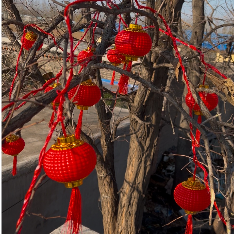 新年喜庆流水灯笼插电LED灯串福字流苏节庆装饰