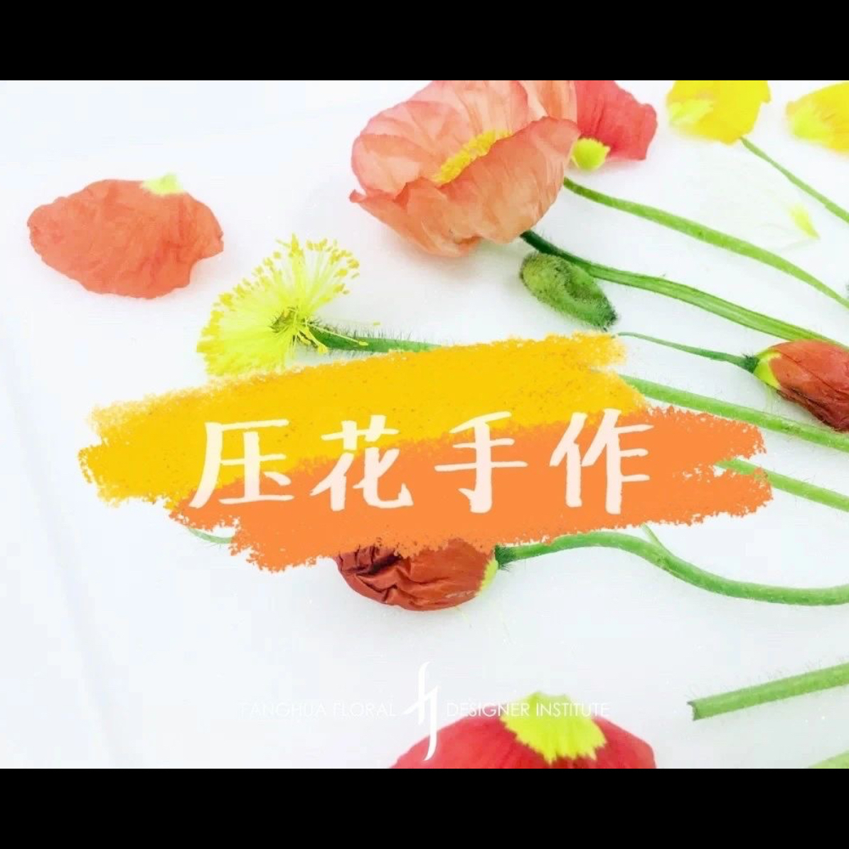 压花手作材料包附带视频
