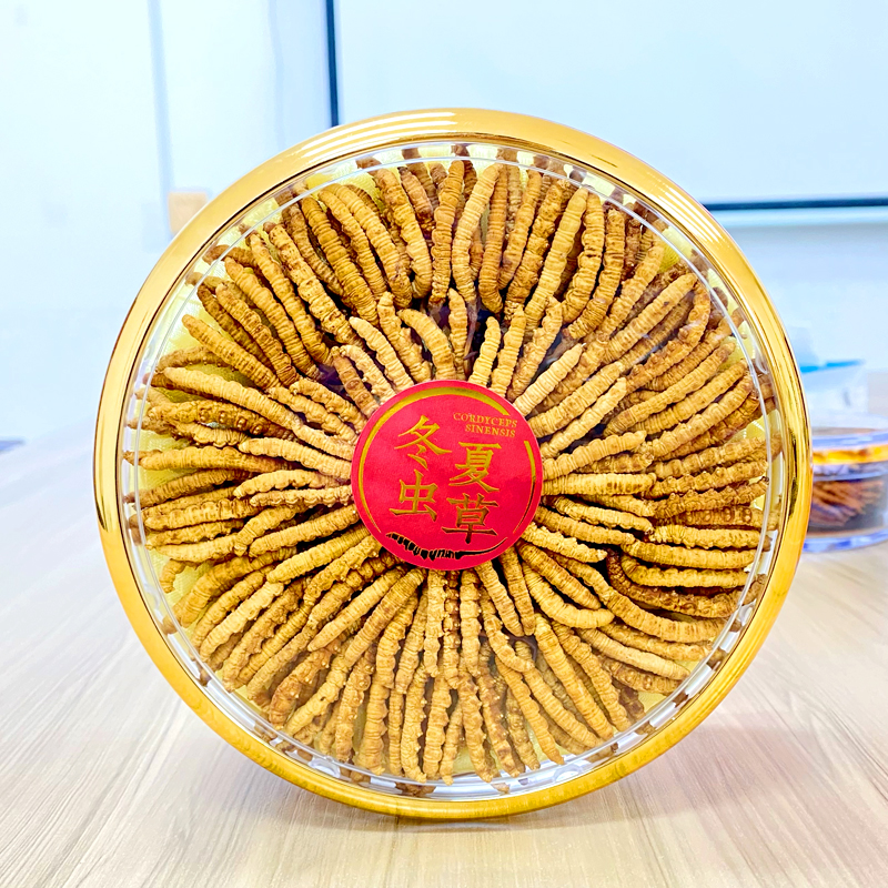 【雪域虫草专属】冬虫夏草200根大草虫草正品送礼高海拔