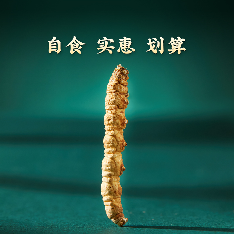 【藏地6338专属】粉丝福利 高海拔冬虫夏草1克断草