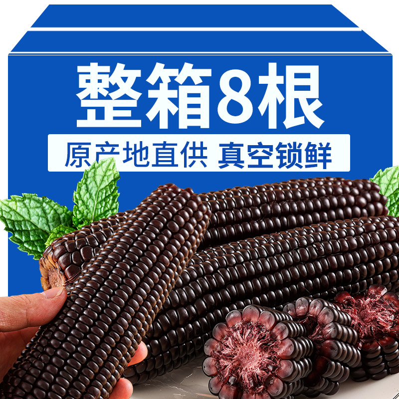 【八根装】黑玉米紫玉米手摘玉米棒子营养美味健身减粗粮真空包装