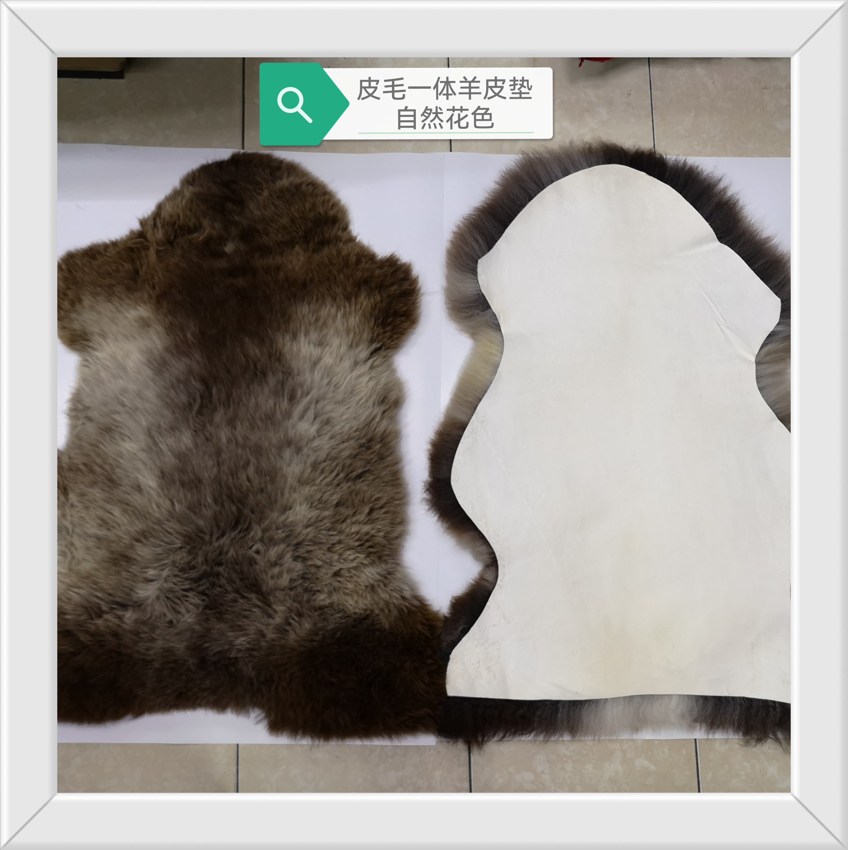 整张澳大利亚羔羊皮沙发垫 高密度自然色皮毛一体羊皮毯自由皮型